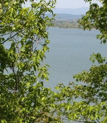 Lots 18 & 19 Piney Bay Village