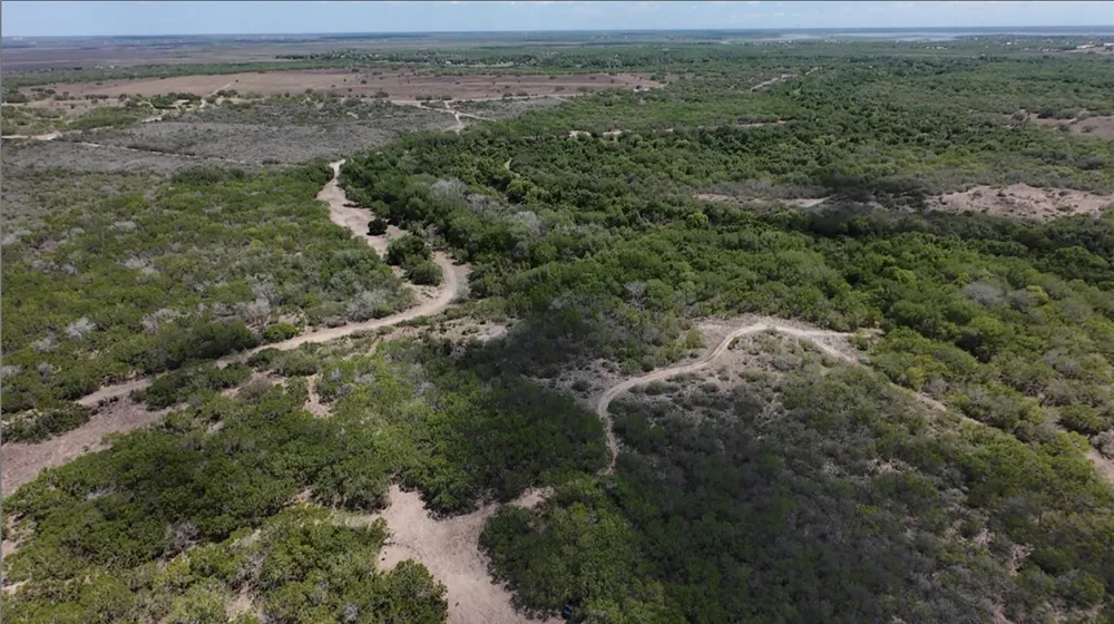 FM 534 Sandia, TX 78383