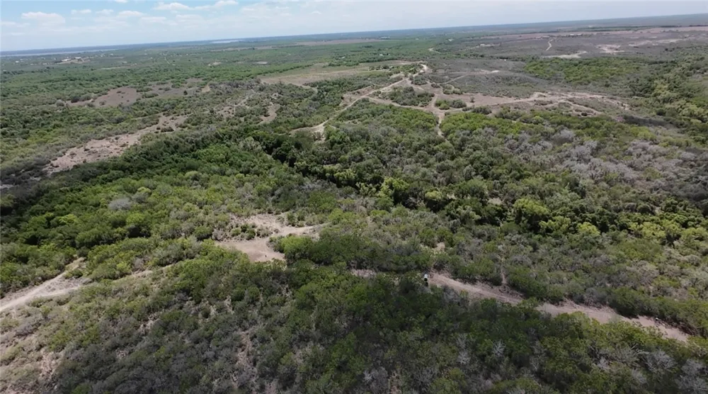 FM 534 Sandia, TX 78383