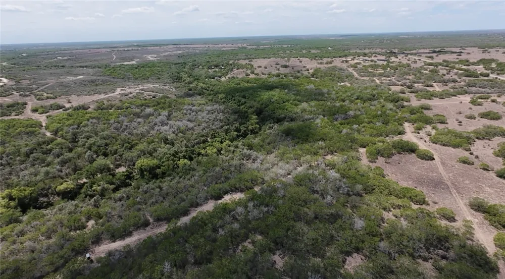 FM 534 Sandia, TX 78383