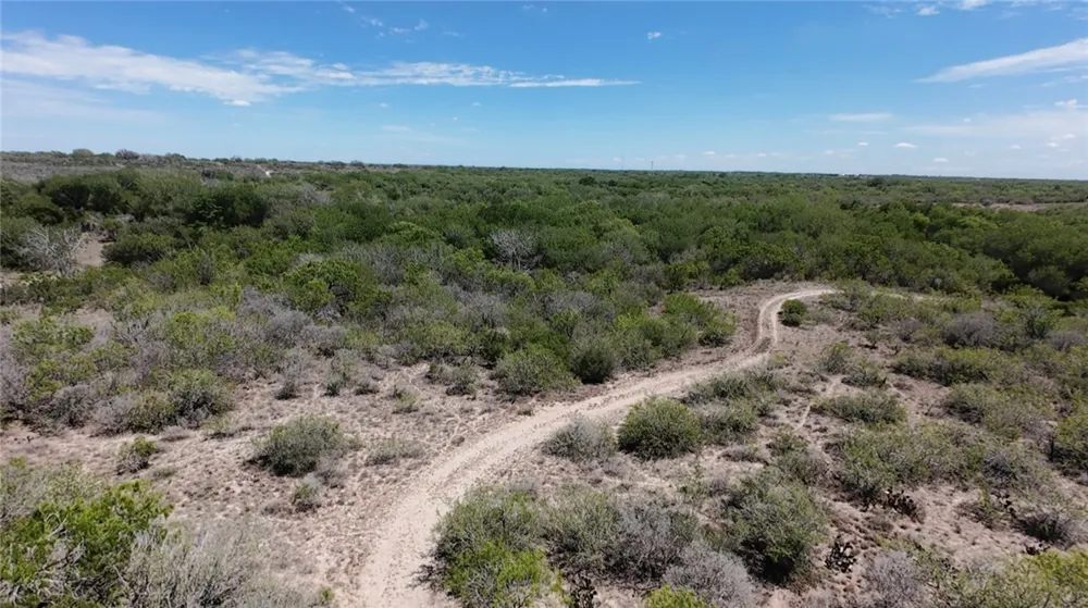 FM 534 Sandia, TX 78383
