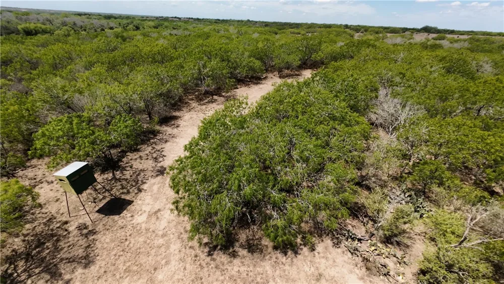 FM 534 Sandia, TX 78383