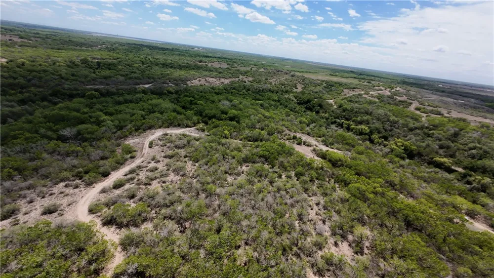 FM 534 Sandia, TX 78383