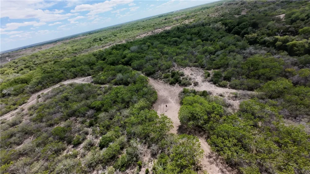 FM 534 Sandia, TX 78383