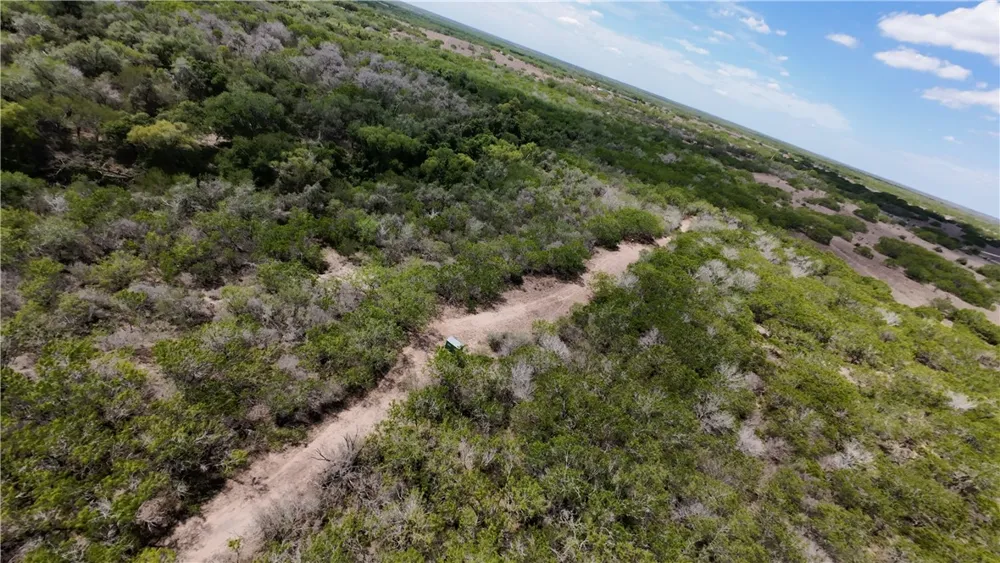 FM 534 Sandia, TX 78383