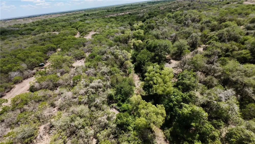 FM 534 Sandia, TX 78383
