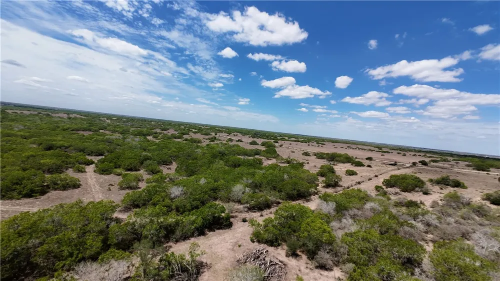 FM 534 Sandia, TX 78383