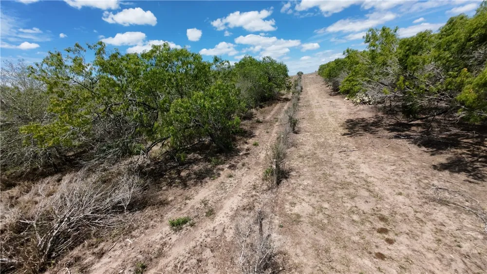 FM 534 Sandia, TX 78383