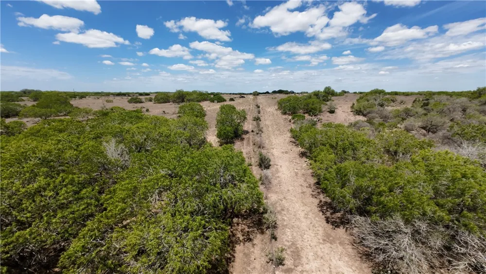 FM 534 Sandia, TX 78383
