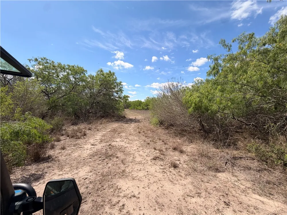 FM 534 Sandia, TX 78383