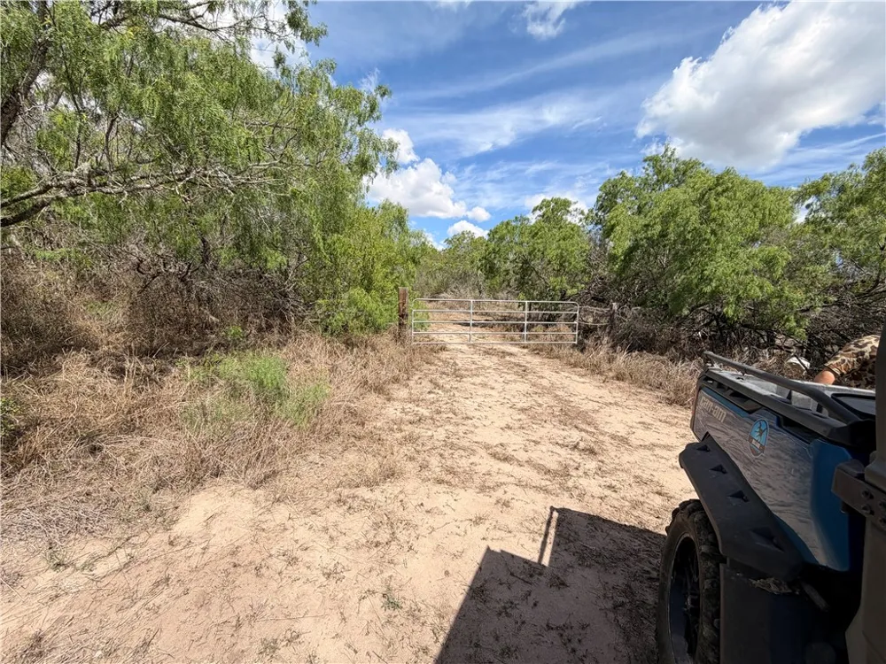 FM 534 Sandia, TX 78383