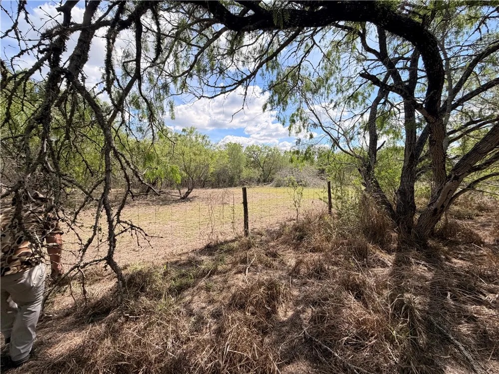 FM 534 Sandia, TX 78383