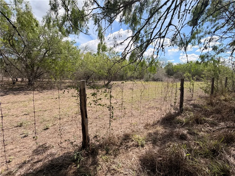 FM 534 Sandia, TX 78383