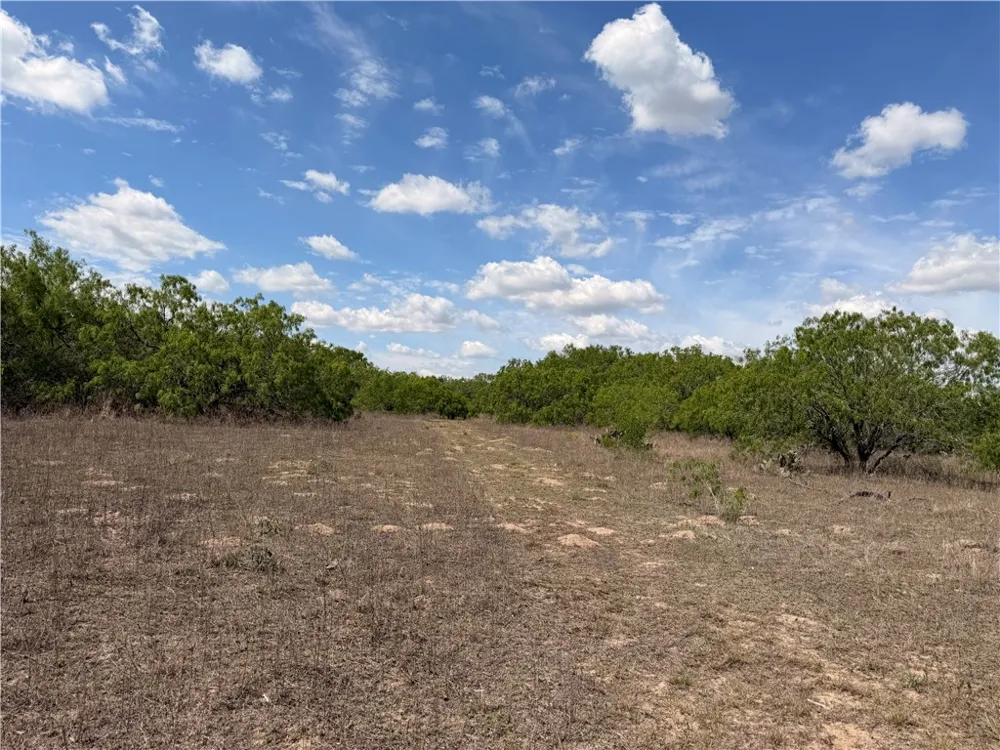 FM 534 Sandia, TX 78383
