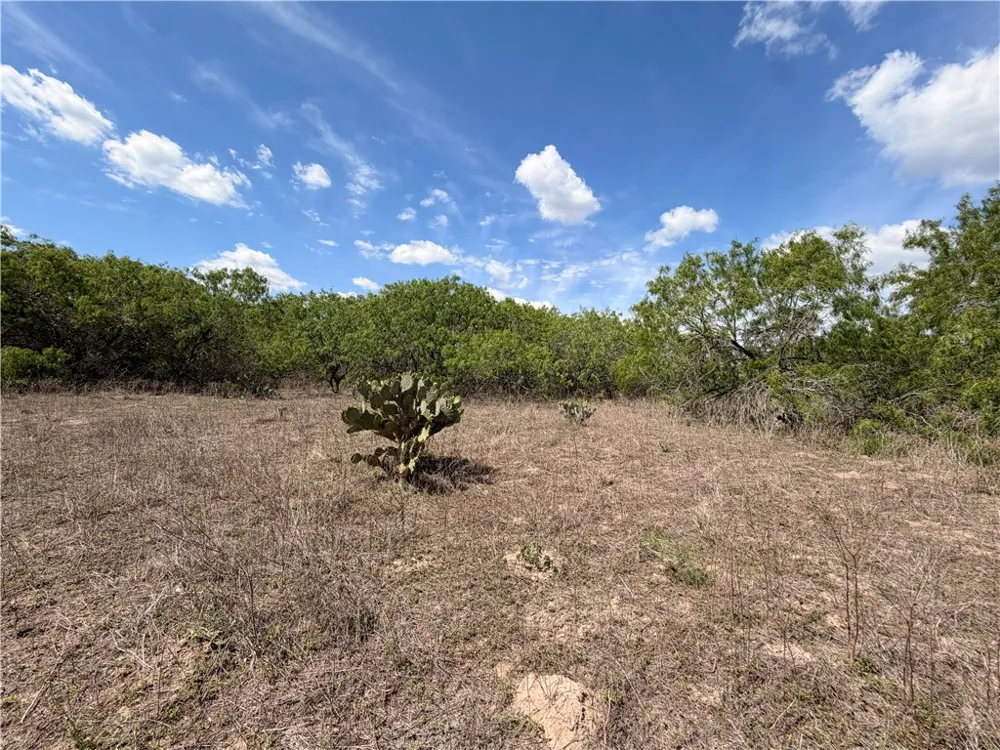 FM 534 Sandia, TX 78383