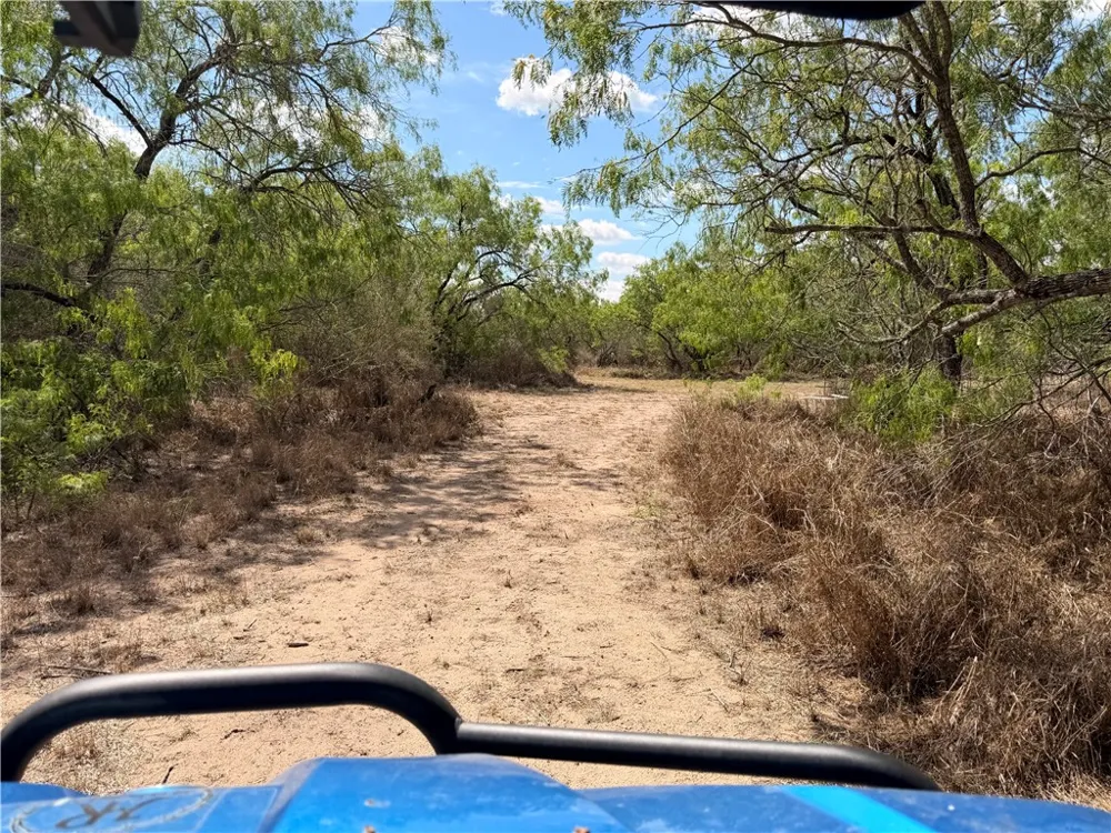 FM 534 Sandia, TX 78383