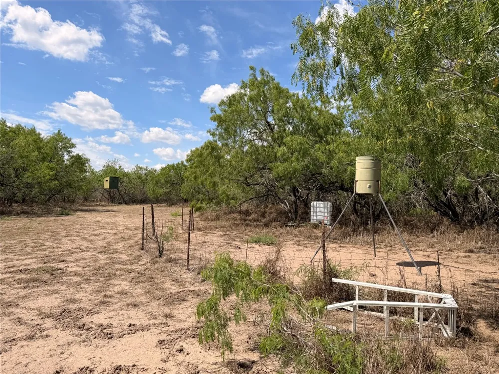 FM 534 Sandia, TX 78383