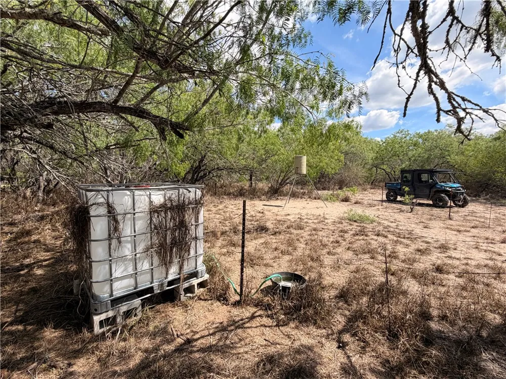 FM 534 Sandia, TX 78383