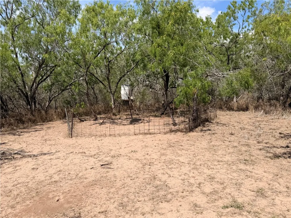FM 534 Sandia, TX 78383
