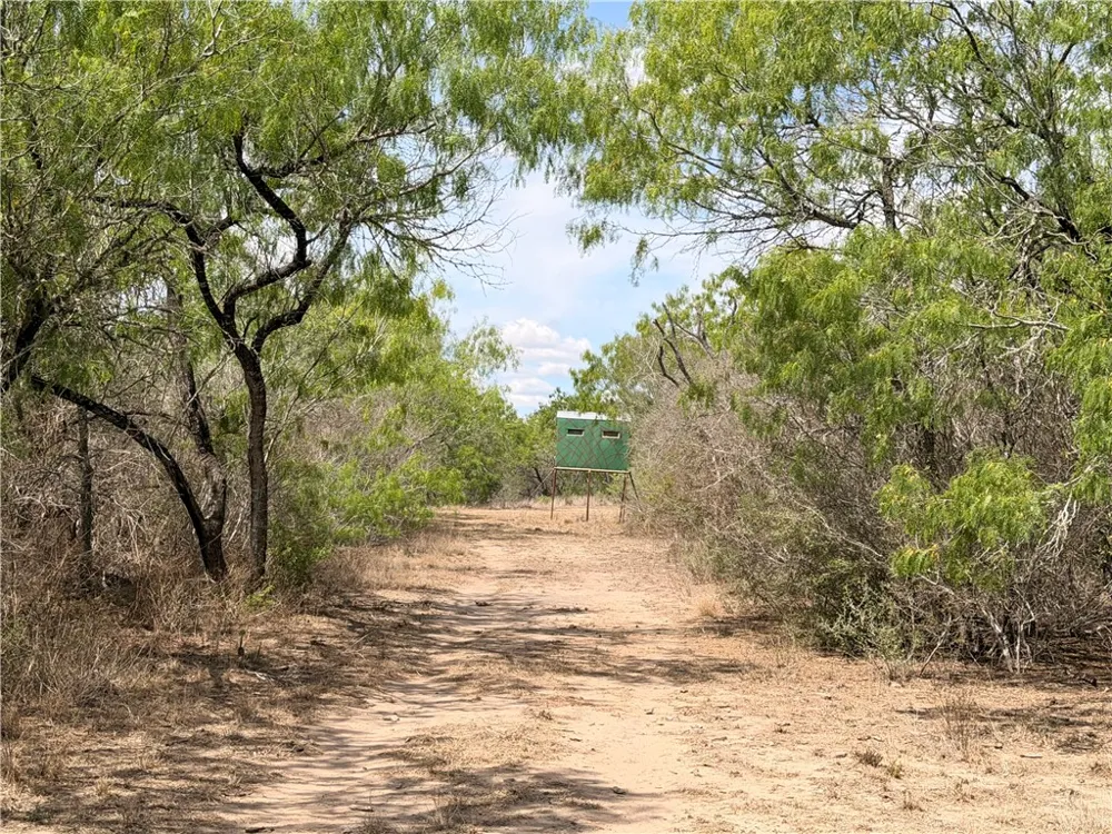 FM 534 Sandia, TX 78383