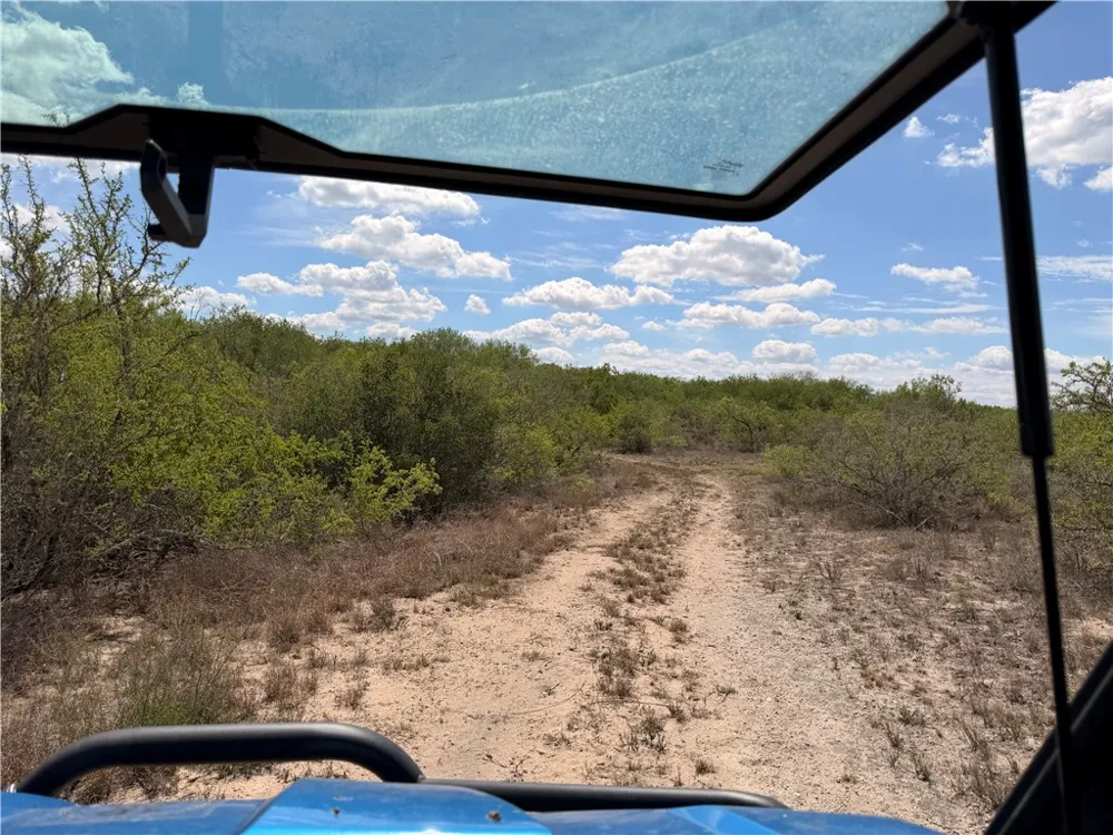 FM 534 Sandia, TX 78383