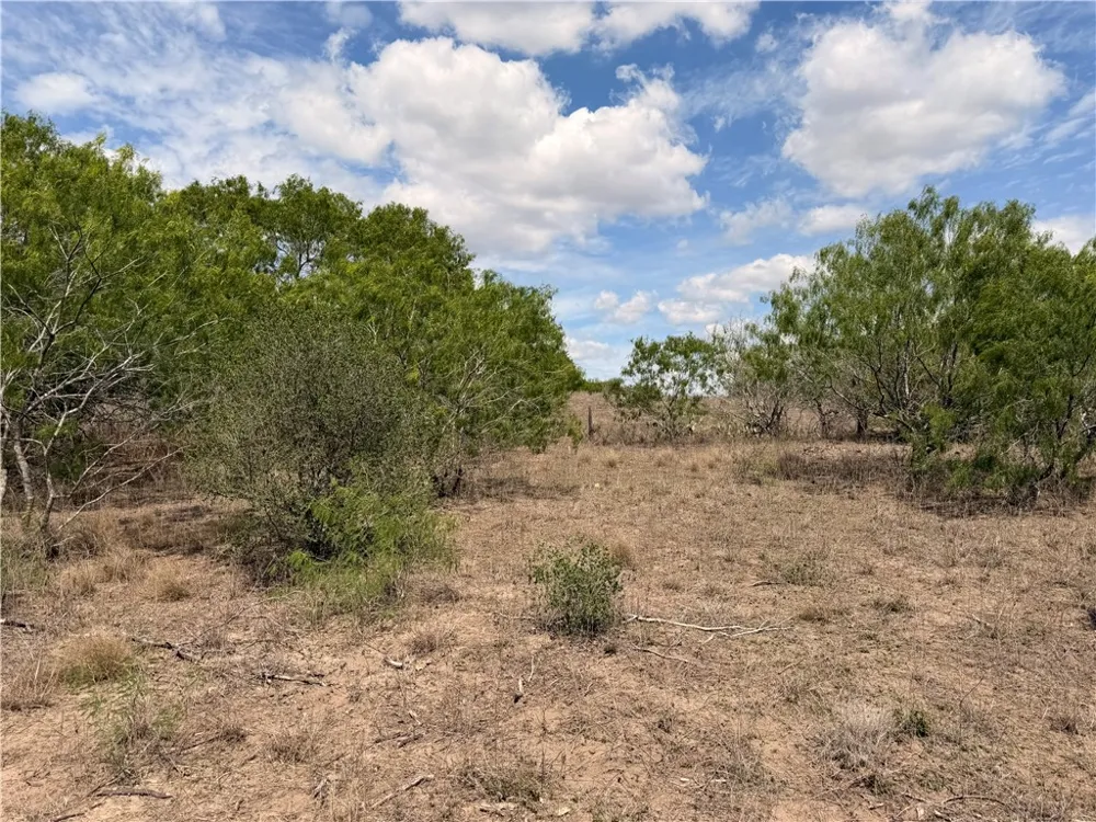 FM 534 Sandia, TX 78383