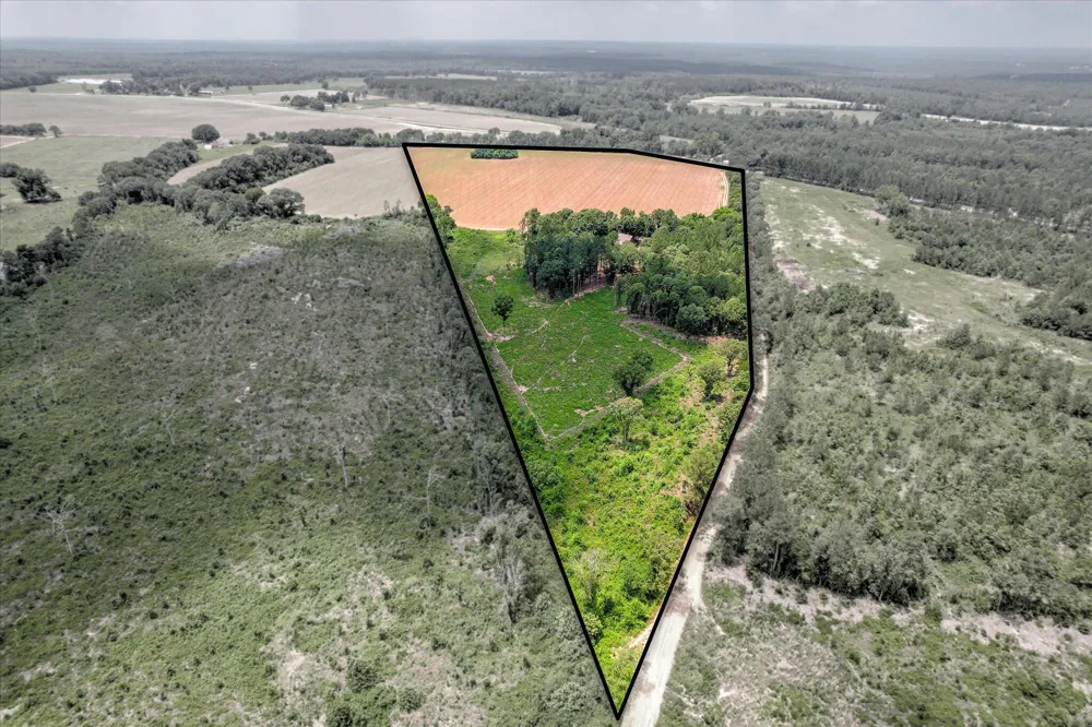 196 Brodie Hall Road Wagener, SC 29164