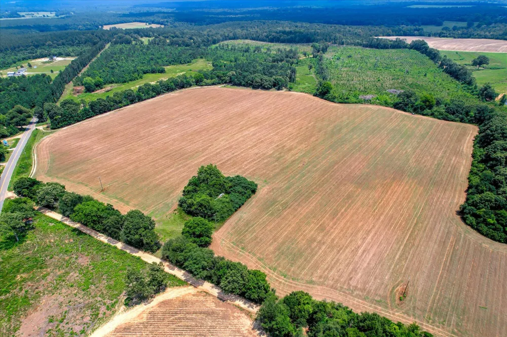 196 Brodie Hall Road Wagener, SC 29164