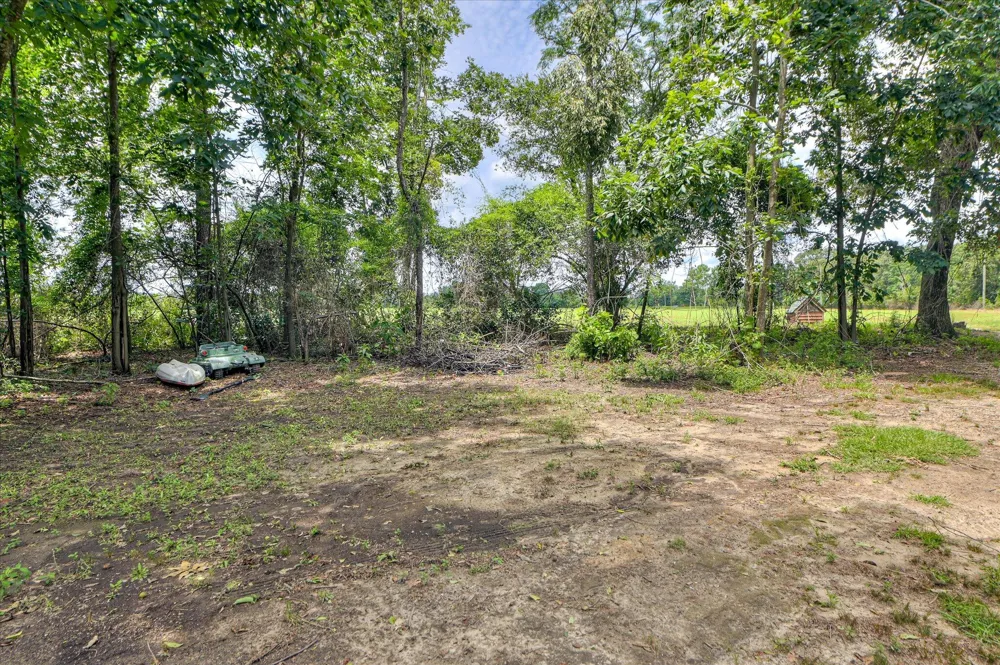196 Brodie Hall Road Wagener, SC 29164