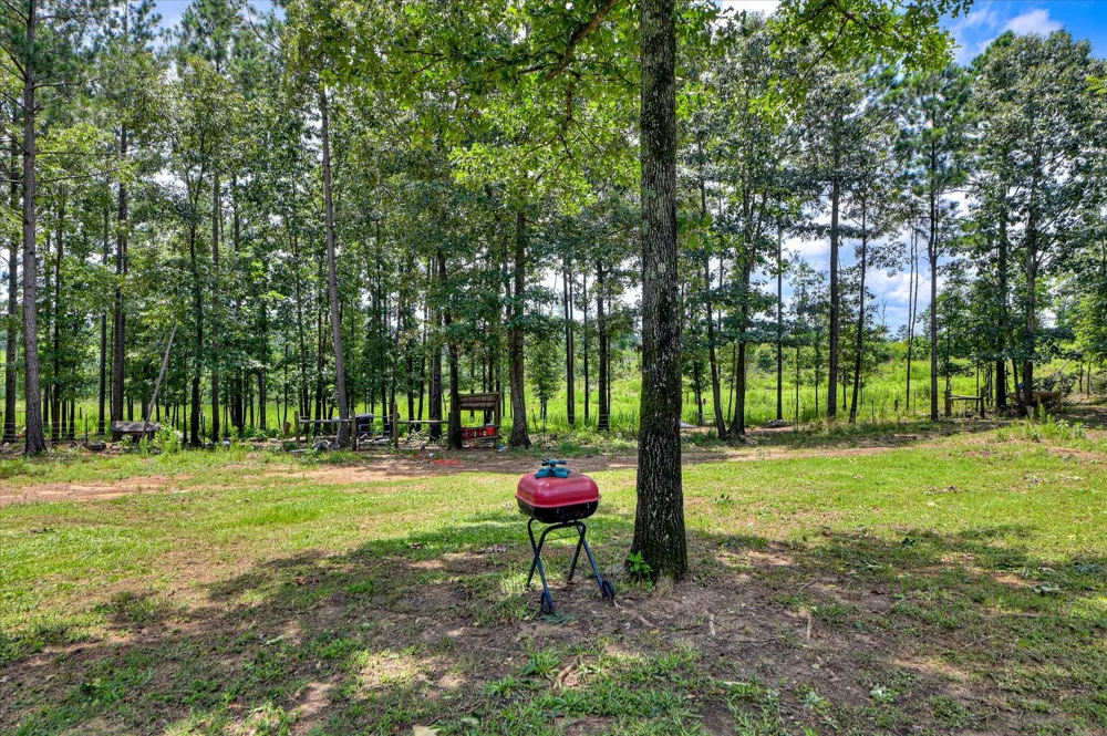 196 Brodie Hall Road Wagener, SC 29164