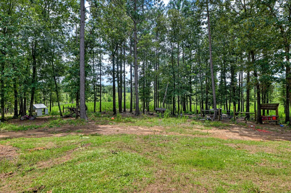 196 Brodie Hall Road Wagener, SC 29164