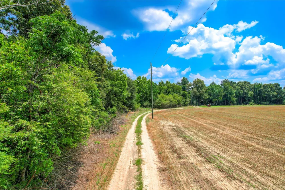 196 Brodie Hall Road Wagener, SC 29164