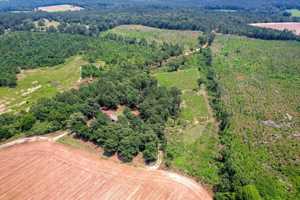 196 Brodie Hall Road Wagener, SC 29164