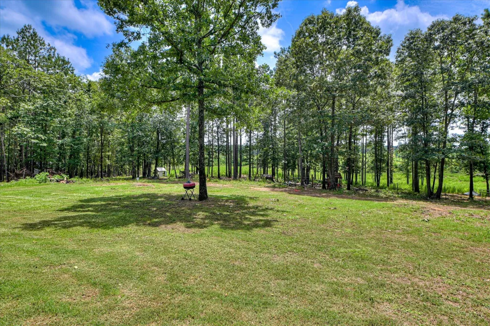 196 Brodie Hall Road Wagener, SC 29164