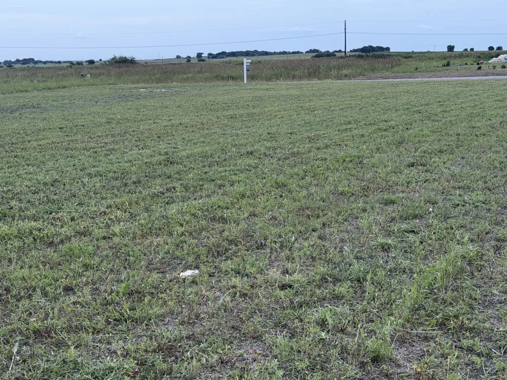 1178 Saltgrass Drive Salado, TX 76571