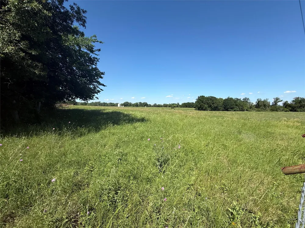 1 Highway 164 Donie, TX 75838