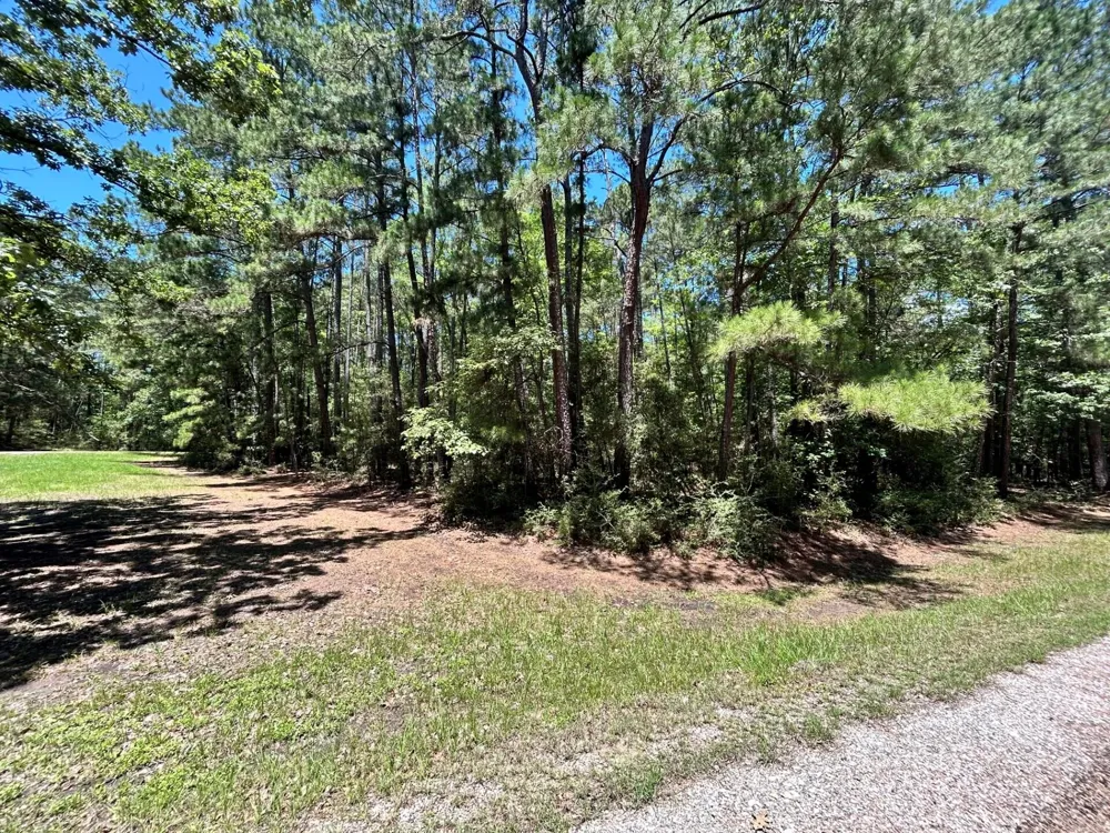 19 Bh Caroll Street Trinity, TX 75862