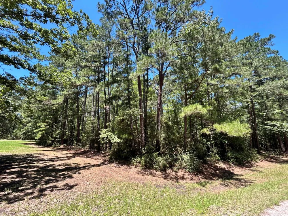 19 Bh Caroll Street Trinity, TX 75862