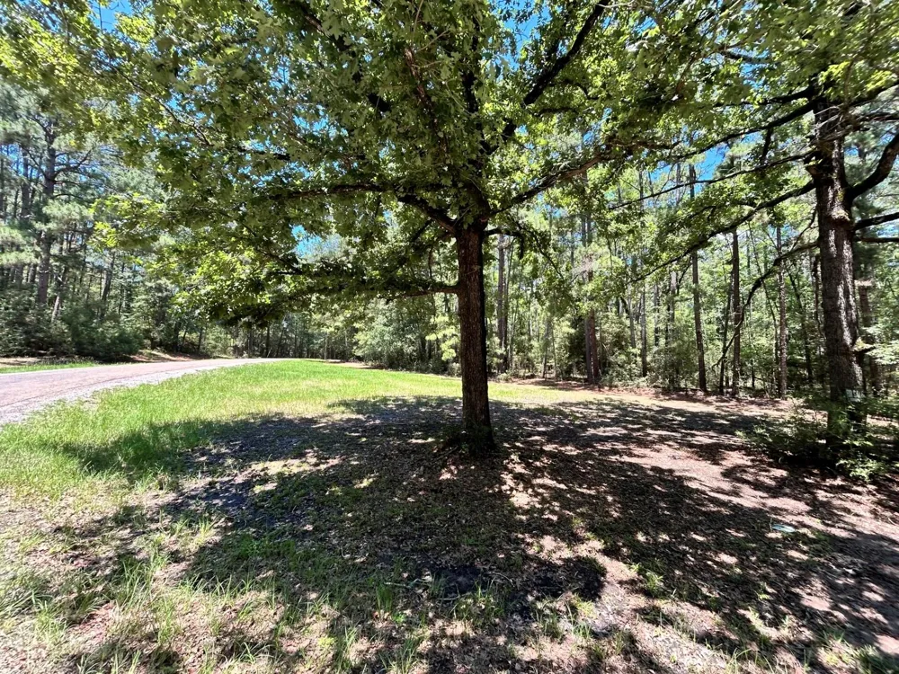 19 Bh Caroll Street Trinity, TX 75862