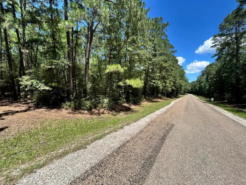 19 Bh Caroll Street Trinity, TX 75862