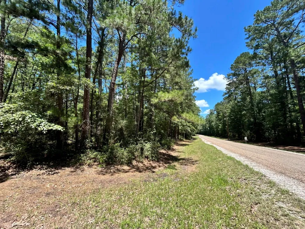 19 Bh Caroll Street Trinity, TX 75862