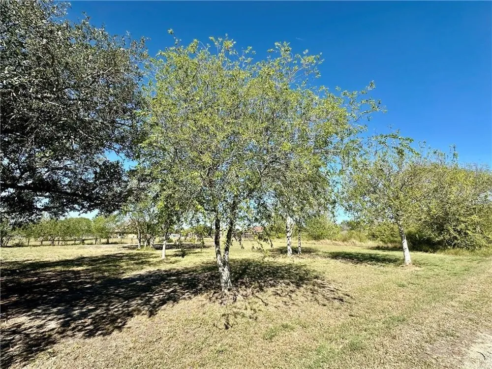 Phillips Portland, TX 78374