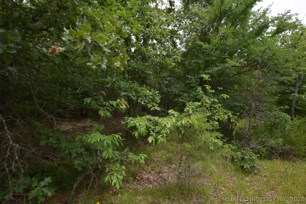 8 Darcy Lane Vian, OK 74962