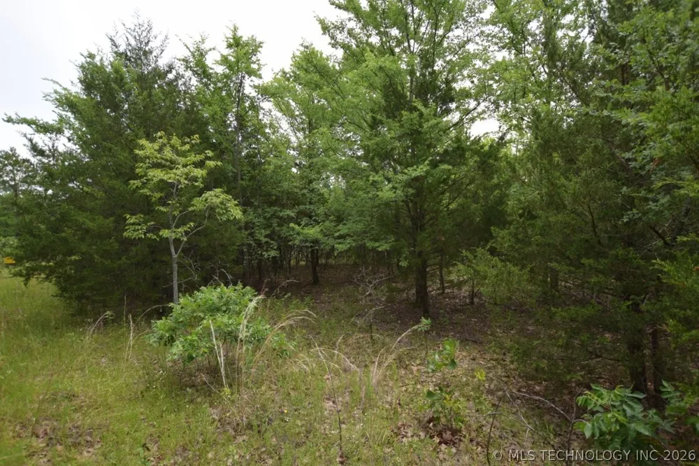 8 Darcy Lane Vian, OK 74962