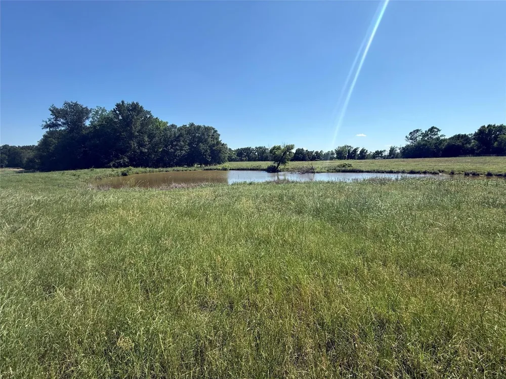 2 State Highway 164 Donie, TX 75838