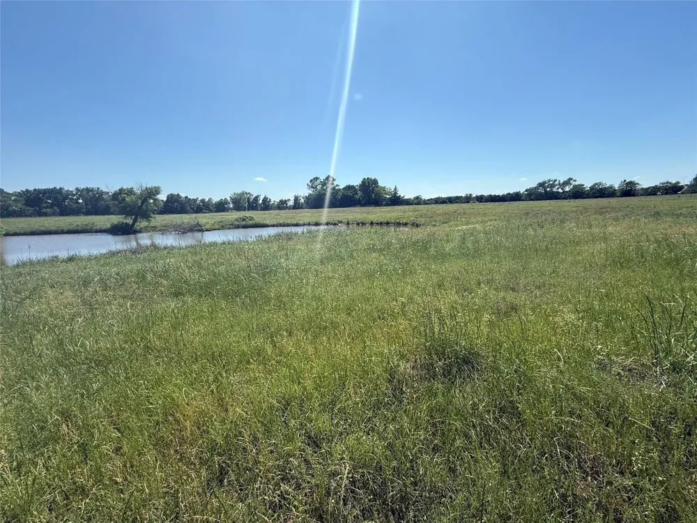 2 State Highway 164 Donie, TX 75838