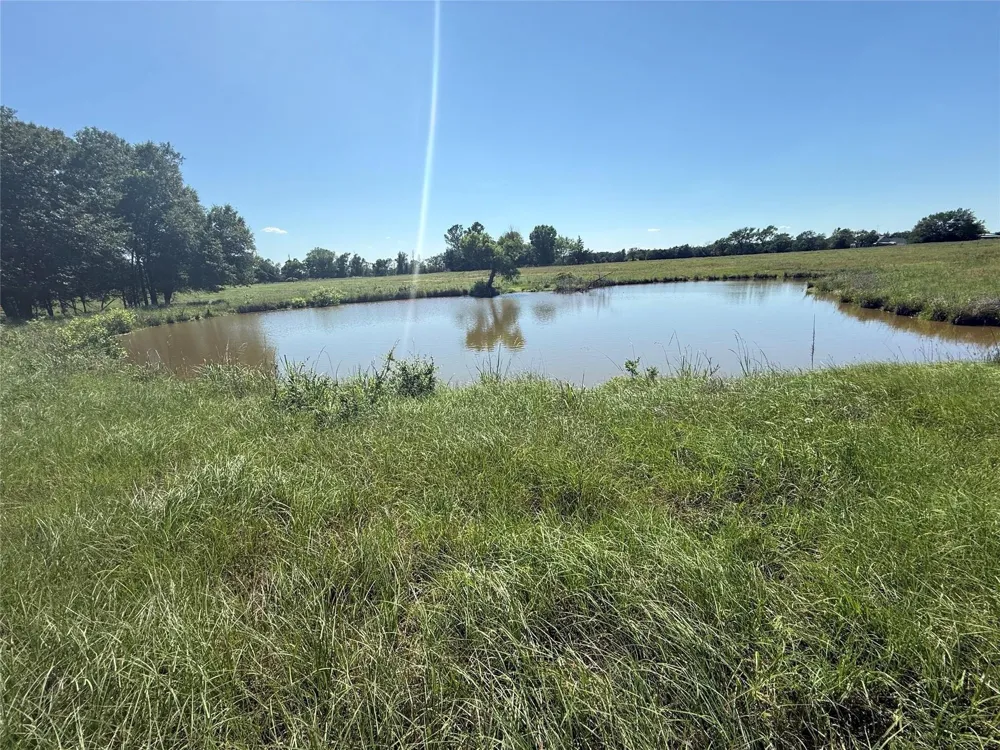 2 State Highway 164 Donie, TX 75838