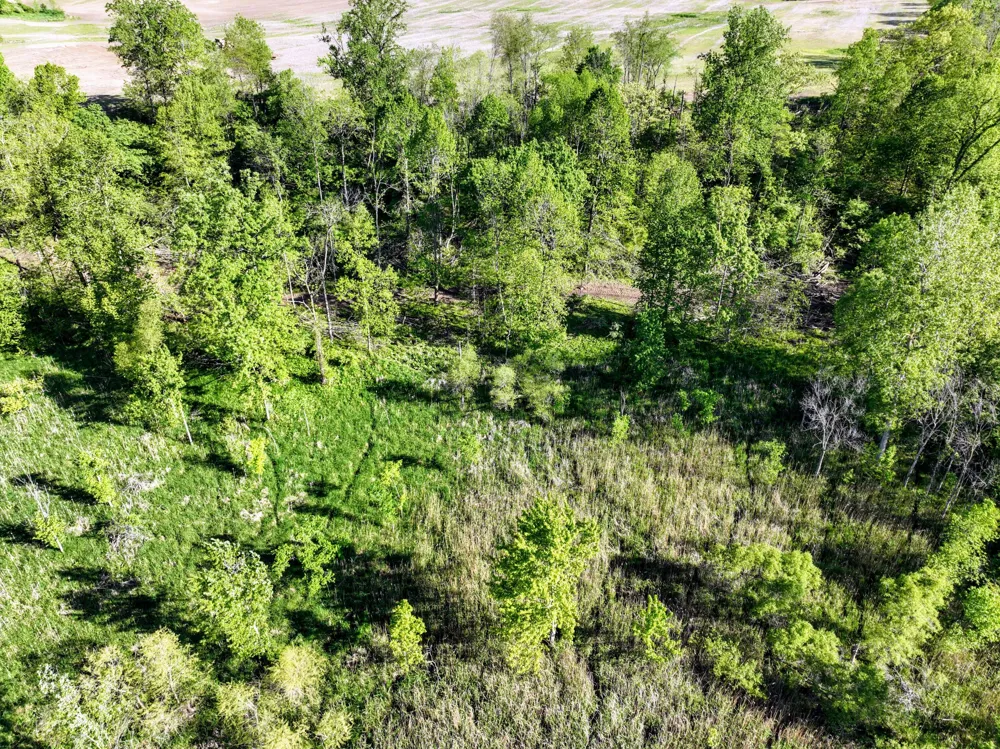 Onsted Highway Onsted, MI 49265