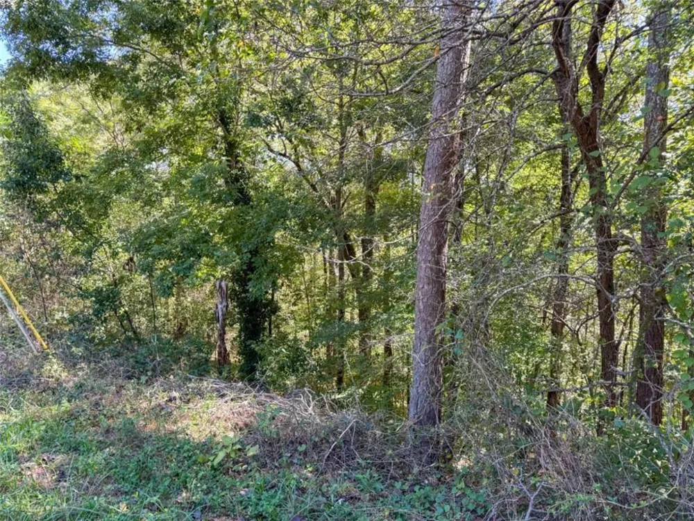 0 Barrington Covington, GA 30016