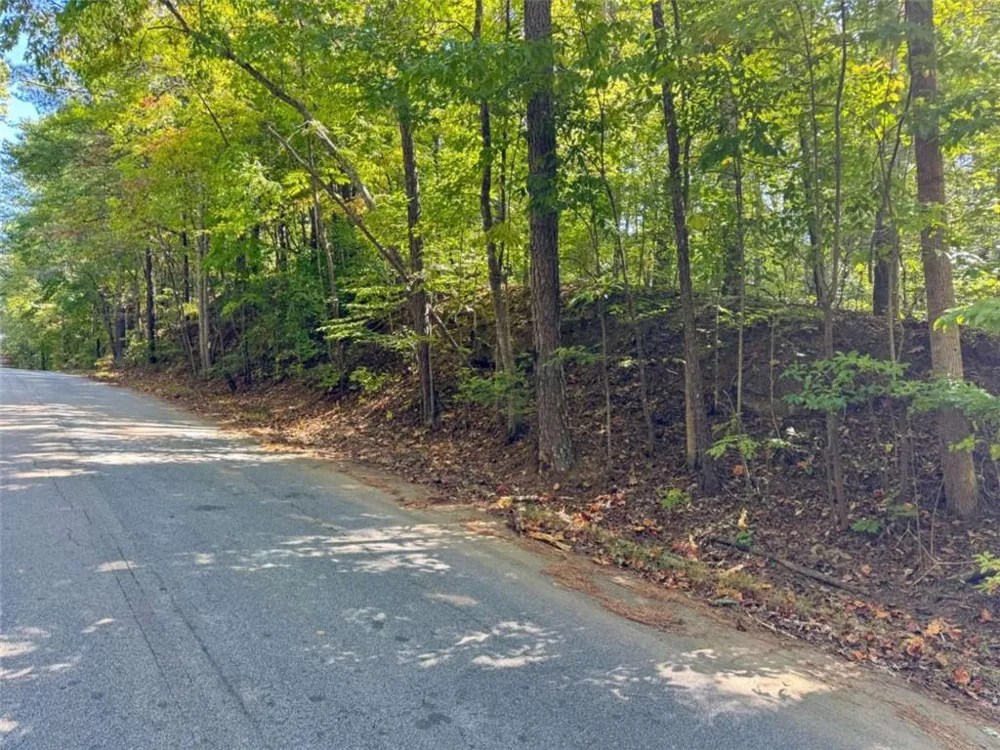 0 Barrington Covington, GA 30016